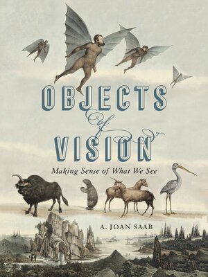 cover image of Objects of Vision